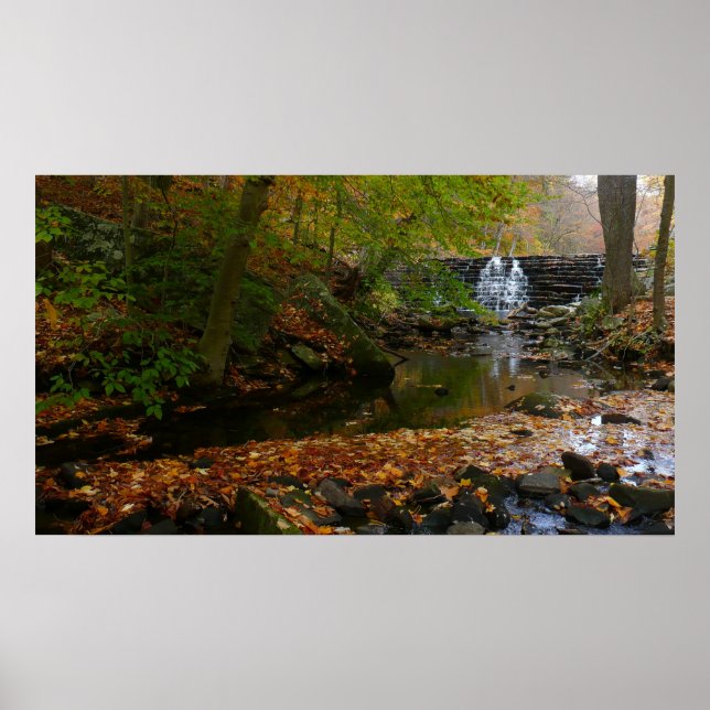 Fall Waterfall och Bäck Pennsylvania Nature Poster (Framsidan)