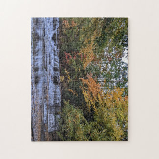 Fall Waterfall Puzzle Pussel