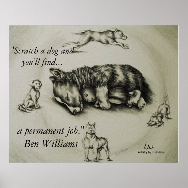 Fälla en Hund - Poster Hund (Framsidan)