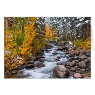 Falla längs Bishop creek, Kalifornien Hälsningskort