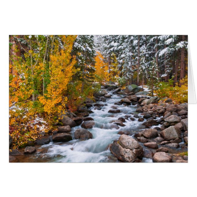 Falla längs Bishop creek, Kalifornien Hälsningskort (Framsidan Horizontal)