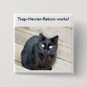 Fälla-Neutrum-Retur knäppas Knapp