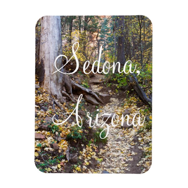 Falla på West Fork-stigen i Sedona, Arizona  Magnet (Vertikal)