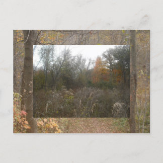 falla vilda djur vykort