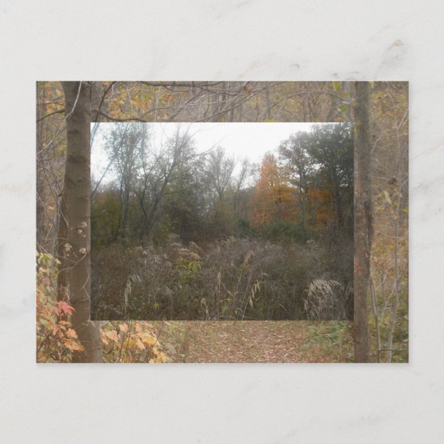 falla vilda djur vykort (Framsida)