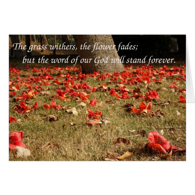 Fallande Blommor av rödbomull Silke Träd Hälsningskort (Framsidan Horizontal)