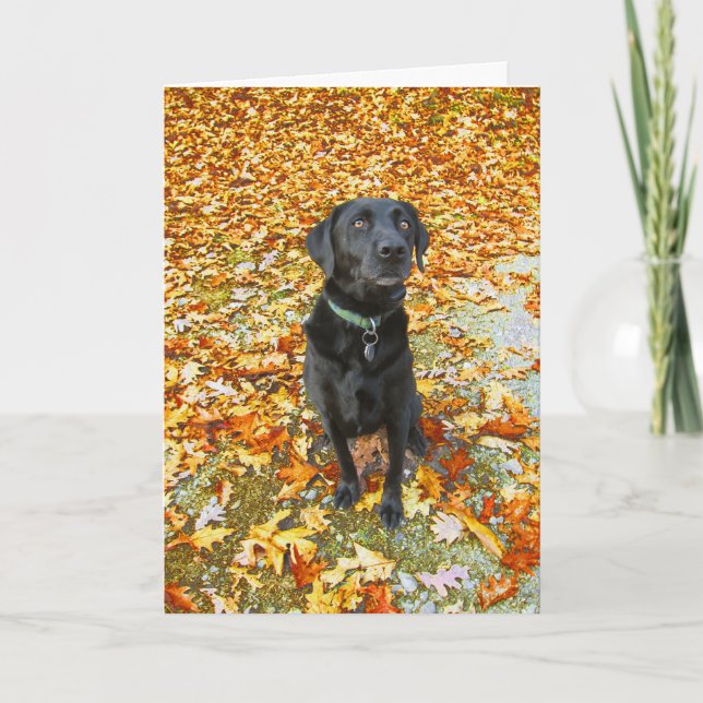 Fallande för ditt gratulationskort kort (Framsida)