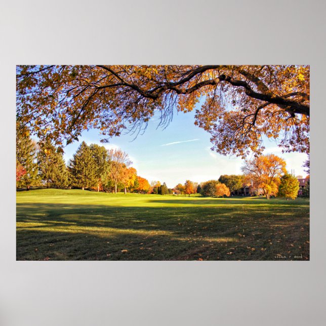 Fallande i Kärlek med Iowa Poster (Framsidan)