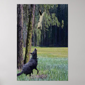 FALLANDE KATT POSTER