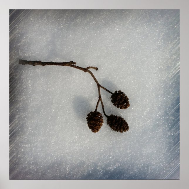 fallande kvist poster (Framsidan)