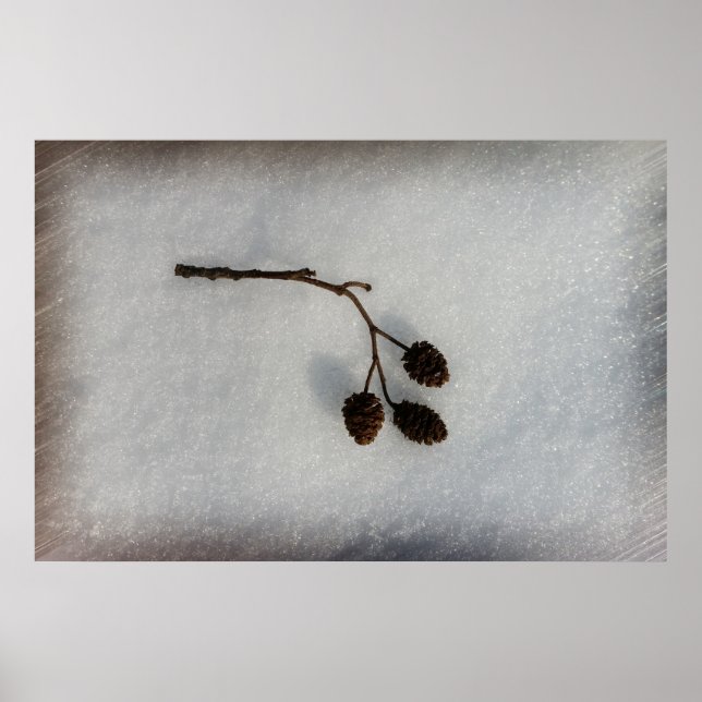 fallande kvist poster (Framsidan)