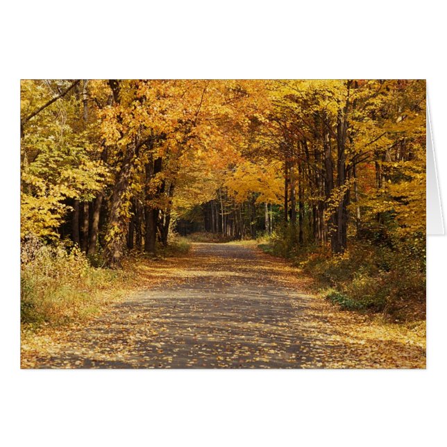 Fallande Löv Hälsningskort (Framsidan Horizontal)