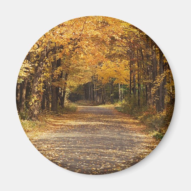 Fallande Löv Magnet (Framsidan)