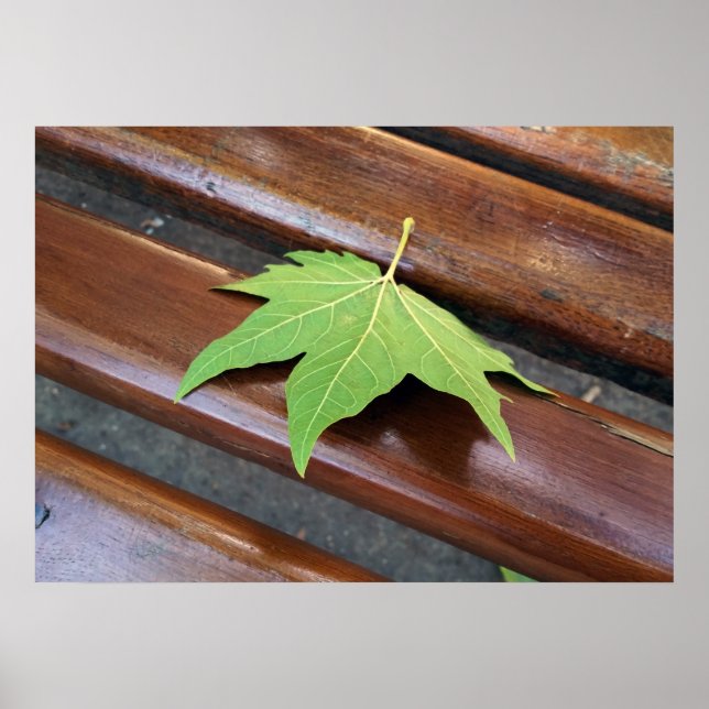 fallande löv poster (Framsidan)