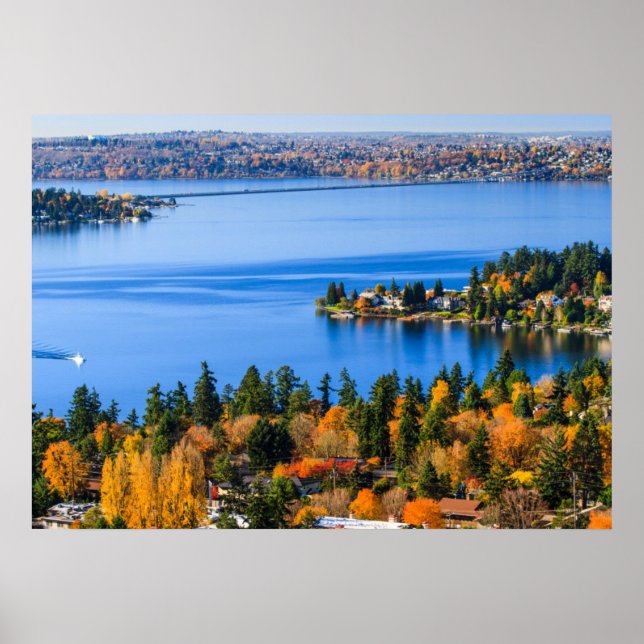 Fallare färg vid Bellevue Poster (Framsidan)
