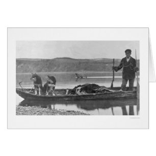 Fällare med Gömmer och Hundar Alaska 1906 Hälsningskort