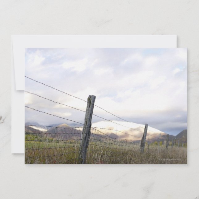 Fälld i liggande (Framsida)