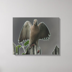 Fallen Angel Dove Canvastryck