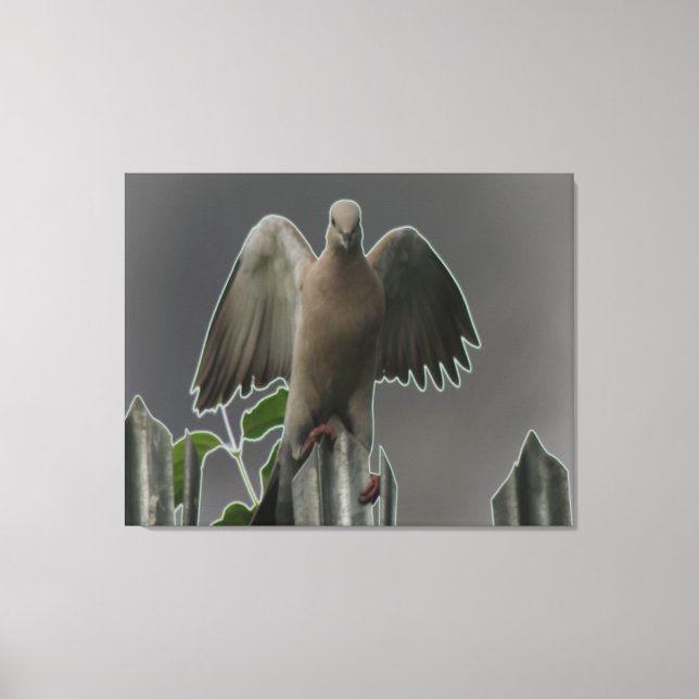 Fallen Angel Dove Kanvastryck (Framsida)