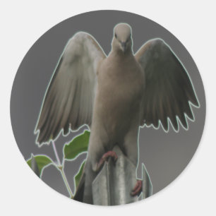Fallen Angel Dove Sticker Runt Klistermärke