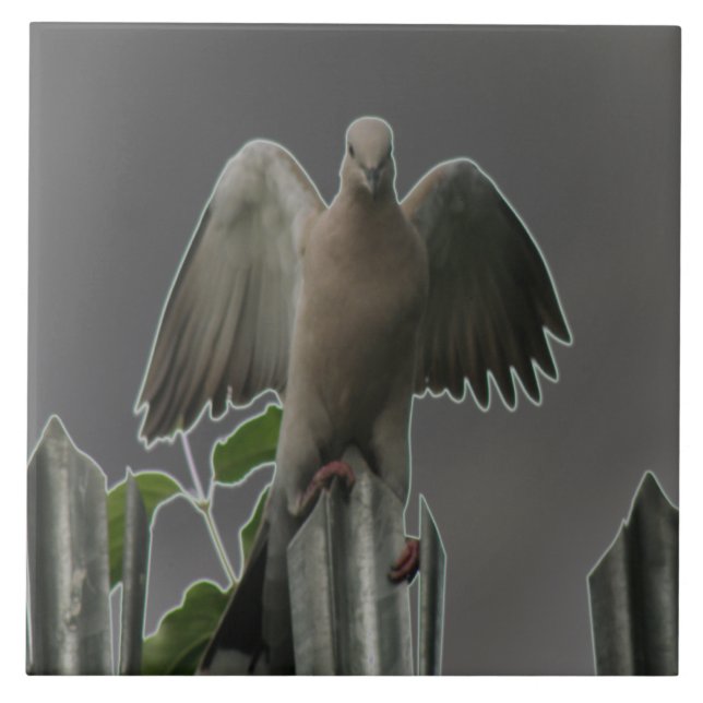 Fallen Angel Dove Tile Kakelplatta (Framsidan)