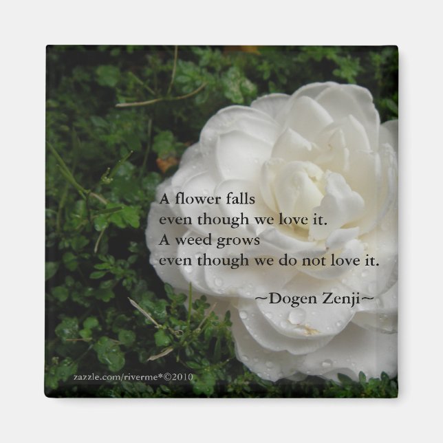 Fallen Camellia/ Zen Quote Magnet (Framsidan)