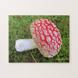 Fallen Fly Agaric / Amanita Muscaria Red Mushroom Pussel