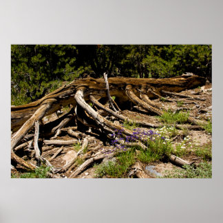 Fallen Gräs Träd Poster