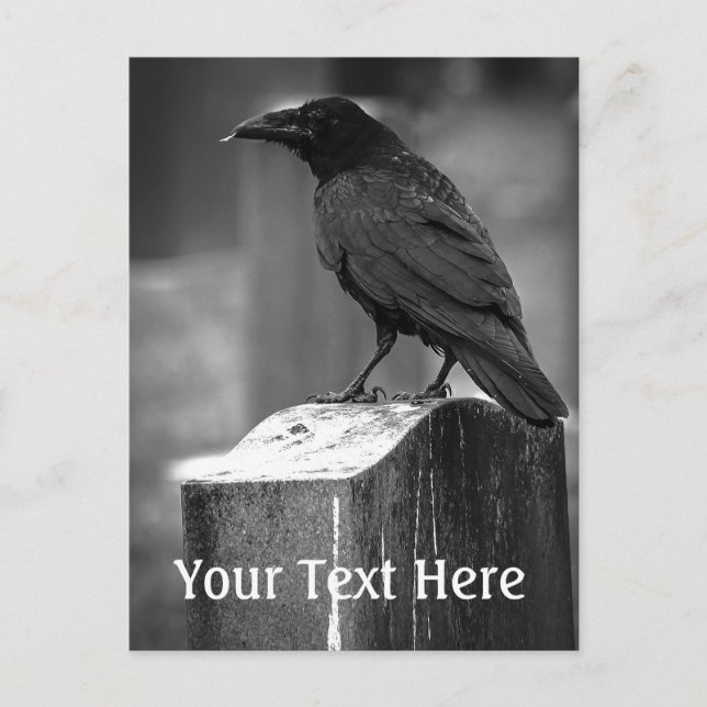 Fallen hittade en ludd vykort (Framsida)