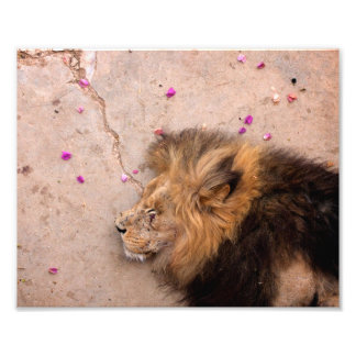 Fallen Kung Fototryck