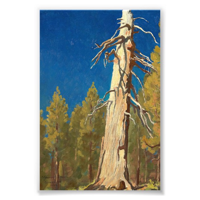 Fallen Löv av Maynard Dixon Fototryck (Framsidan)