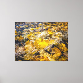 Fallen Löv i Vatten Canvastryck