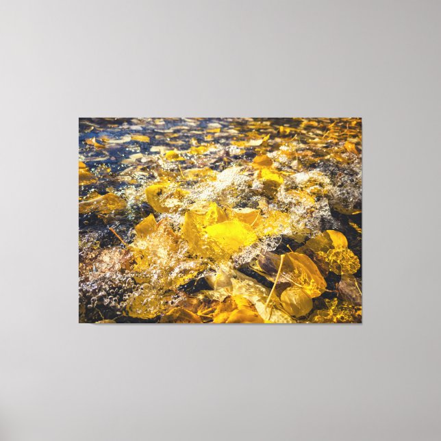 Fallen Löv i Vatten Canvastryck (Framsida)