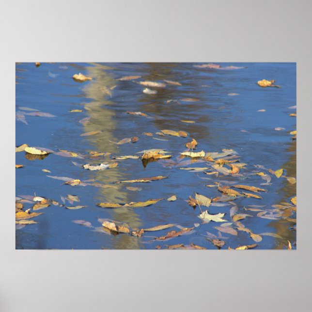 Fallen Löv i Vatten Poster (Framsidan)