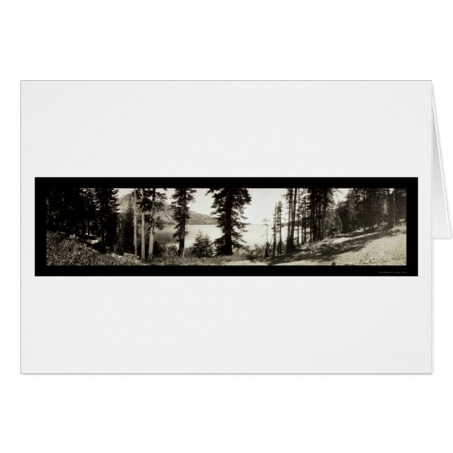 Fallen Löv Sjö Photo 1906 Hälsningskort (Framsidan Horizontal)