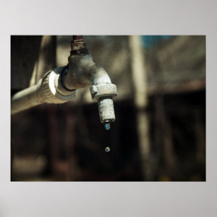Fallen Makro vatten Poster