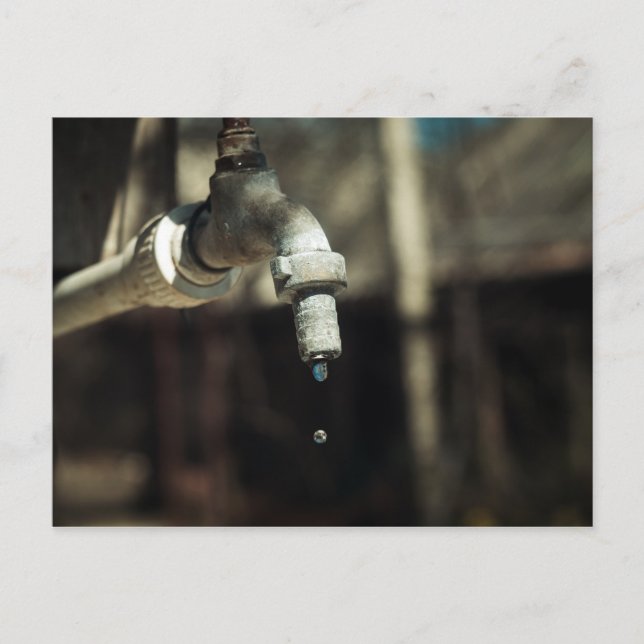 Fallen Makro vatten Vykort (Framsida)