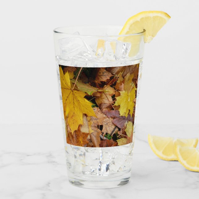 Fallen Maple Löv Gult - höstkaraktär Glaskopp (Bakside Is)