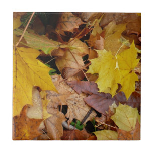 Fallen Maple Löv Gult - höstkaraktär Kakelplatta
