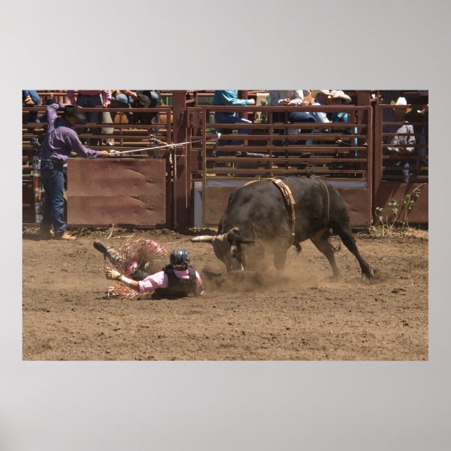 Fallen Rider är på väg att uppfylla sitt arg-monte Poster (Framsidan)
