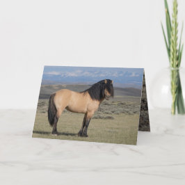 "Fallen Star in Front of the Wind River Mountains" Inbjudan