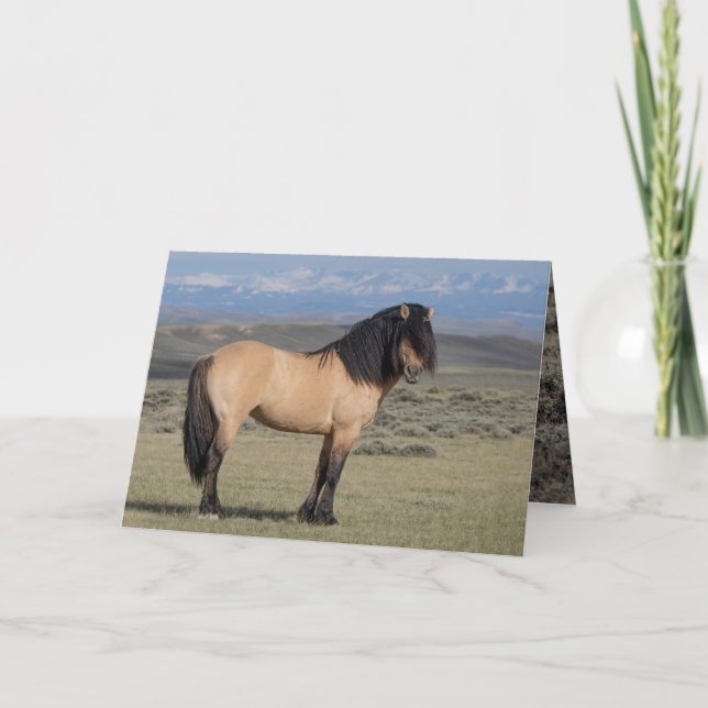 "Fallen Star in Front of the Wind River Mountains" Inbjudan (Framsida)