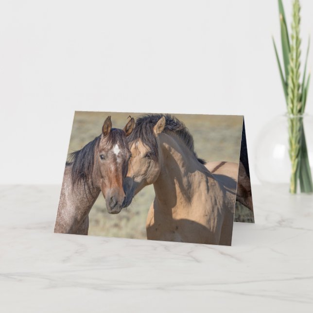 Fallen Star och Hans Mare Vild Horse Greeting Card Tack Kort (Framsida)