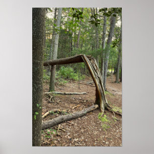 Fallen Träd i Park Poster
