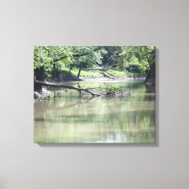 Fallen träd i vatten canvastryck