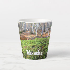 Fallen Träd på hösten Moss - liten Personlig