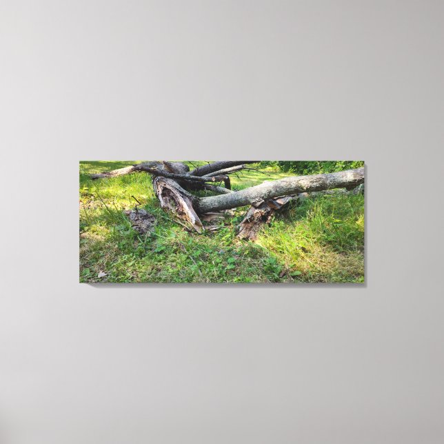 Fallen Träd Puzzle Canvastryck (Framsida)