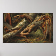 Fallen Tree - Alexandre Calame Fina Konstaffisch