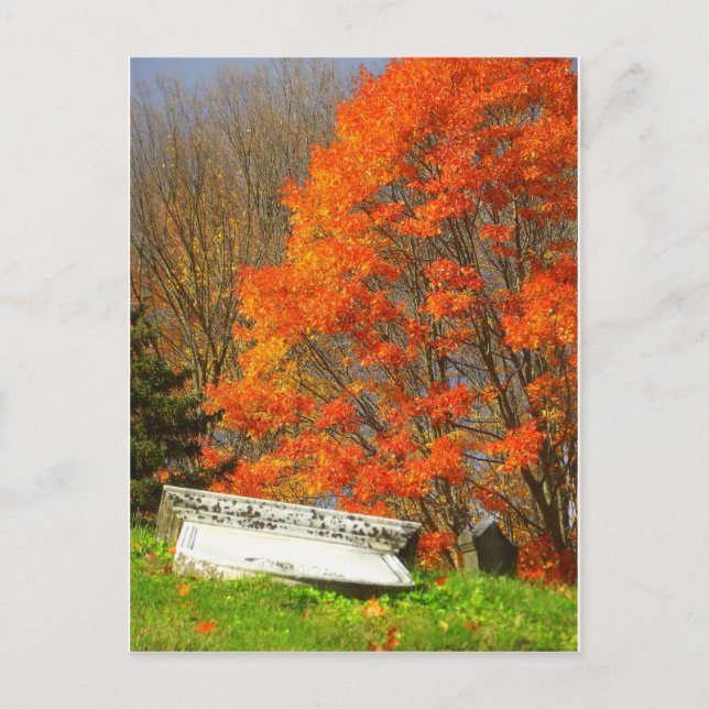 Fallen Vykort (Framsida)