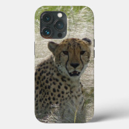 Fallet Cheetah iPhone/iPad